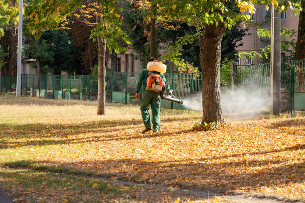 Best Affordable Pest Control Services  in Park River, ND